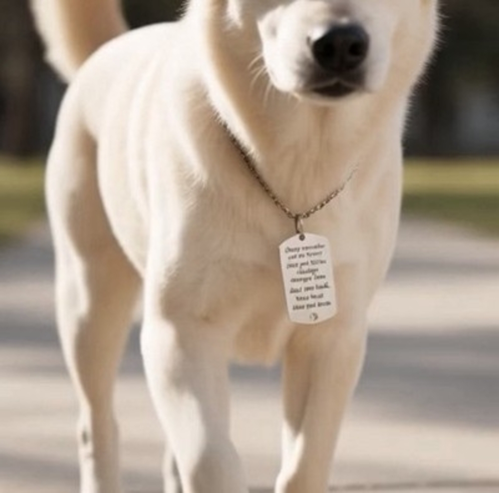 Stainless Steel Dog Tag Pendant Necklace Inspirational Quote Gift Unisex NIP